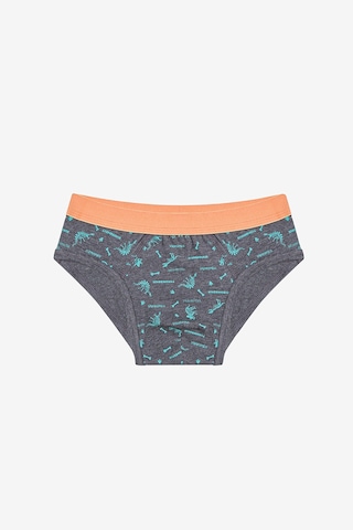 Penti Erkek Çocuk Blue Solid 3lü Çok Renkli Slip Külot Açık Gri