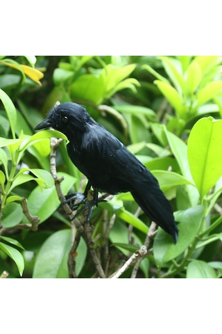 Homyl Sahte Yapay Karga Kuş Tüylü Gerçekçi Bahçe Ev Dekor Süsleme