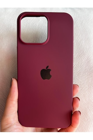 Apple Uyumlu iPhone 16 Pro Max Logolu İçi Kadife Silikon Lansman Kılıf