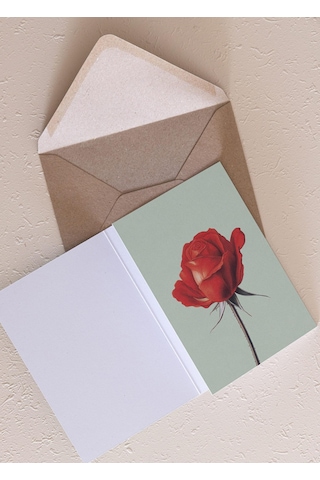 The Mia Art Line Mini Tebrik Kart Seti Rose 10 X 14 Cm