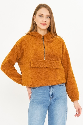 Armonika Kadın Camel Kapüşonlu Cep Kapaklı Peluş Sweatshirt Arm-25k001090