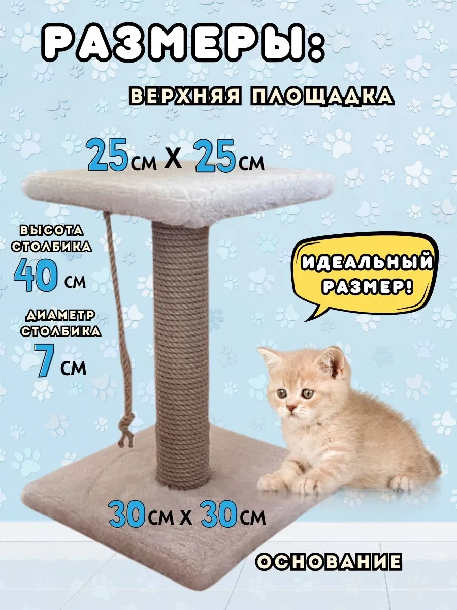 Mr Cat Yavru Kediler İçin Tırmalama Direği 343531753