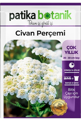 100 Adet Civanperçemi Çiçek Tohumu