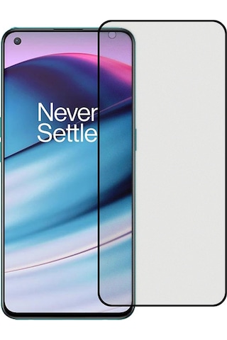 Microcase OnePlus Nord CE 5G Tam Kaplayan Mat Cam Koruma - AL3124
