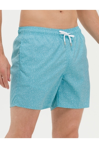Pierre Cardin Erkek Nil Deniz Şortu 50276031-vr083