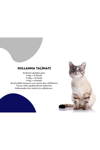 Pet Feed Forte Plus Cats 100 Ml Kedi İçin Tüy Sağlığı - Tüy Dökülmesi Önleyici Damla