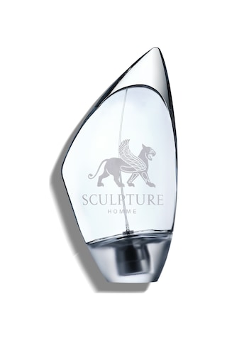 Nikos Sculpture Homme Erkek Parfüm EDT 100 ML