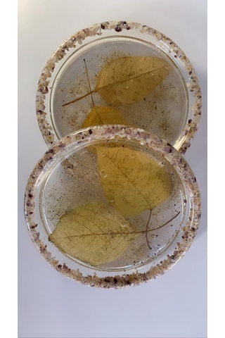 Deniz Kumlu Ve Kabuklu Kurutulmuş Yapraklı Epoksi Bardak Altlığı Şeffaf