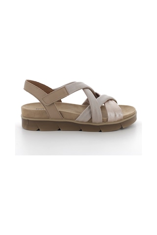 Sandalet Kadın Diğer 7668911 Igı&co Ddz 76689 Sı.nap.bott/fıo Champagne Carne Champagne Carne Çok Renkli