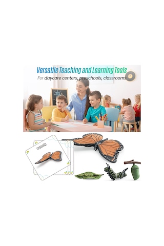 Yifomall 25 Adet Hayvan Büyüme Döngüsü Modeli + 25 Kart - Çocuklar İçin Doğa Bilgisi Eğitici Öğretim Aracı Kelebek, Kurbağa, Arı, Böcek, Deniz Kaplumbağası, Yavru Penguen