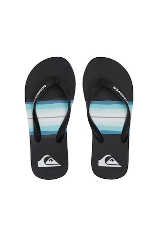 Quiksilver Quıksılver Molokaı Resın Tınt Youth Kvj1 Siyah