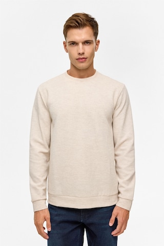 Bej Regular Düz Bisiklet Yaka Sweatshirt-38782 Bej