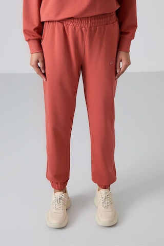 Tommy Life Tarçın Basic Pamuklu O Yaka Oversize Lastik Paça Kadın Eşofman Takım - 95287 Tarçın