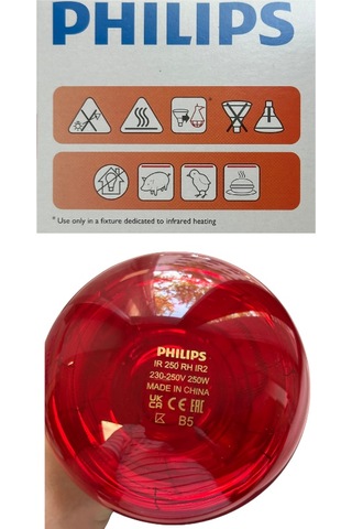 2 Adet Philips 250w Kızılötesi İnfrared Isıtıcılı Hayvan Isıtma Ve Fizik Tedavi Lambası Kırmızı Işık E27 Kalın Duy