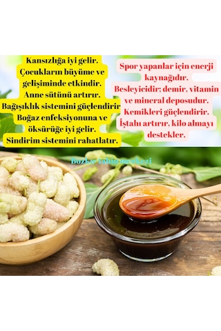 Bozkır Tahin Merkezi Dogal & Katkısız Köy Dut Pekmezi 1 KG