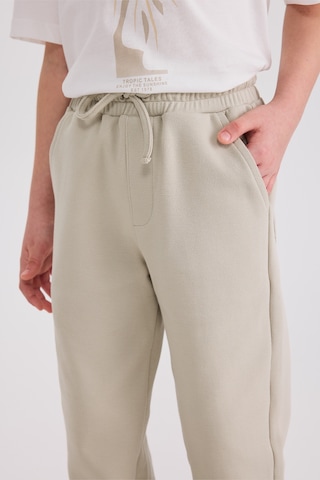Panço Erkek Çocuk Örme Açık Yeşil Pantolon