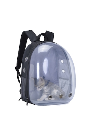 Springsun Yetişkinler, Gençler, Kampüs Sırt Çantaları, Yürüyüş, Tuval Okul Çantası İçin Aydınlık Sırt Çantaları Benzersiz Tasarım