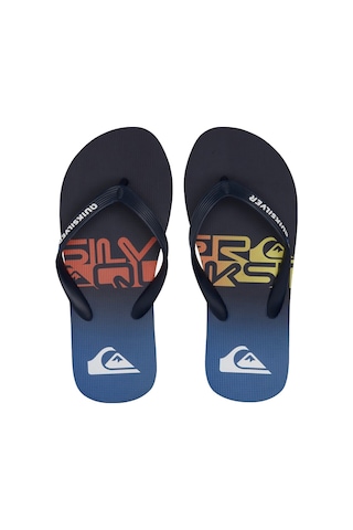 Quiksilver Molokaı Art Youth Mavi Mavi