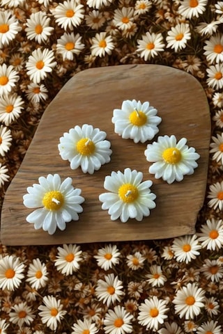 Bernami Vazo Pinterest Suda Yüzen Hediyelik Kokulu Papatya Mum - 1 Adet Diğer