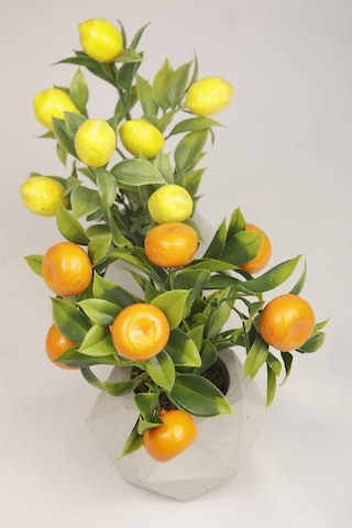 Yapay Bitki Geometrik Beton Saksıda Dekoratif Limon Ve Portakal Ağacı Tanzimi Turuncu-sarı-beyaz