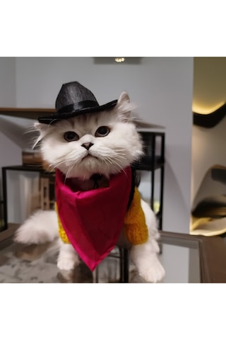Kedi Ve Köpek İçin Redkit Kostümü Şapka, Bandana, Kazak, Yelek Takım