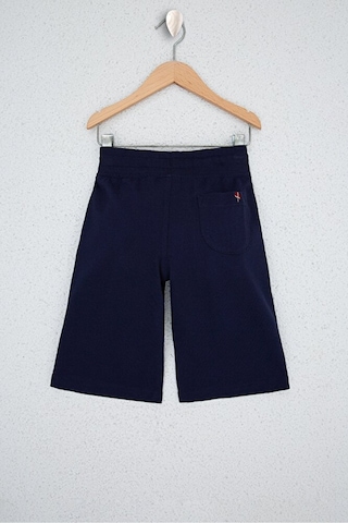 U.S. Polo Assn. Erkek Çocuk Şort & Bermuda Lacivert
