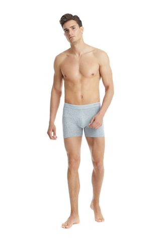 Blackspade Erkek Pamuk Elastan Boxer Tender Cotton 9233 - Gri Melanj