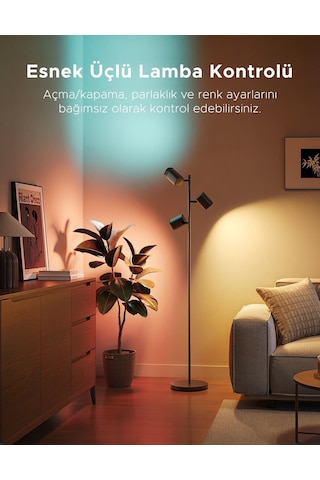 Govee 3'lü Spot Aydınlatma Köşe Lambası