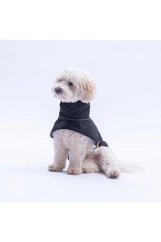 Pawstar Polarlı Siyah Colombia Prime Su Geçirmez Orta-büyük Irk Köpek Pratik Yağmurluk
