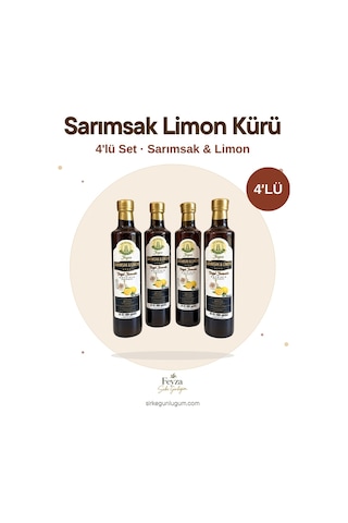 Sirke Günlüğüm Sarımsak Limon Kürü