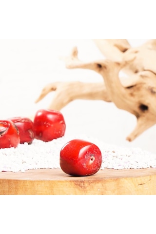 Mercan Kararlılık Taşı Doğal Taş