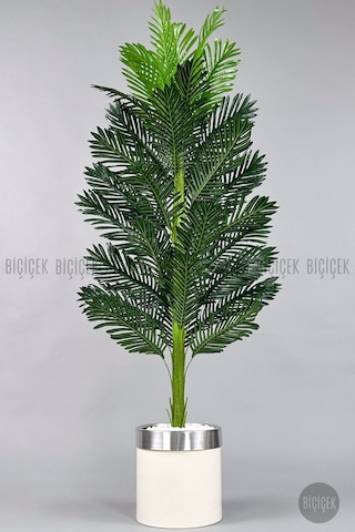 Yapay Areka Ağacı 160-180 Cm Kl