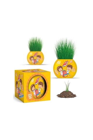 Yuup Okul Temalı Çim Adam 6'lı Set Çocuklar İçin Eğitici Ve Eğlenceli Bitki Yetiştirme Kiti