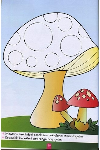 Beyaz Pusula - Çizgiler 4+