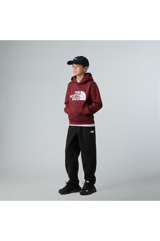 The North Face Teen Drew Peak Pullover Hoodıe Genç Çocuk Sweatshirt Nf0a8ehh0vo1 Çok Renkli