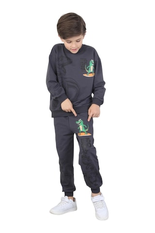 Erdem Kıds Erkek Çocuk Dinozor Baskılı Pijama Takımı İki İplik Eşofman Takımı Okul İkili Takım Füme Füme