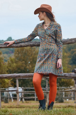 Hakim Yaka Düğme Detaylı Bağlamalı Uzun Kollu Elbise Petrol