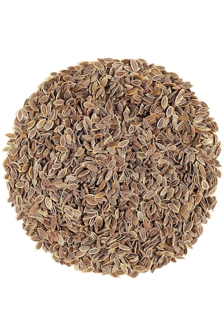 Yerli Dereotu Mikro Yeşillik Tohumu, Gönen Çeşidi, 15 Gram