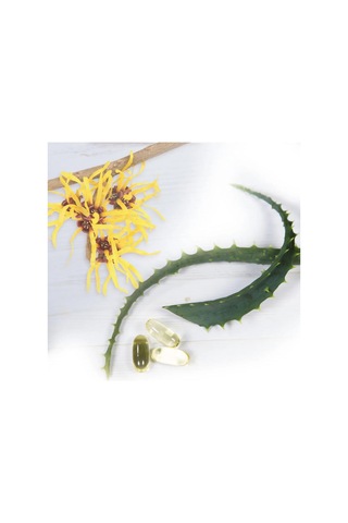 Dickinsons Witch Hazel Gül Suyu İçeren Nemlendirici Tonik 473ML