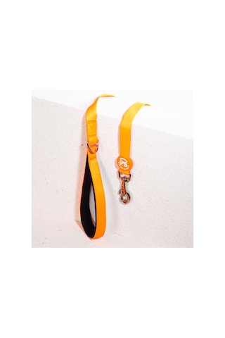Pawstar Neon Turuncu Leash Kedi Köpek Sevk & Gezdirme Kayışı Köpek Uzatma Tasması Turuncu