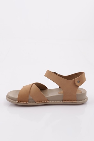 Dgn P31 Kadin Çapraz Bantli Sandalet P31-1512-R0175 Bej