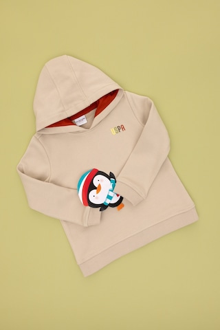 U.S. Polo Assn. Erkek Çocuk Taş Kapüşonlu Sweatshirt 50293489-VR049