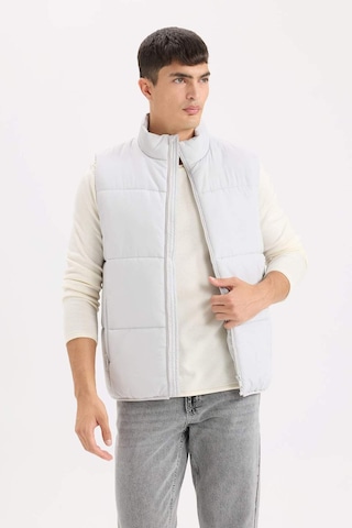 Defacto Regular Fit Fermuarlı Şişme Yelek D6286AX25SP Gri