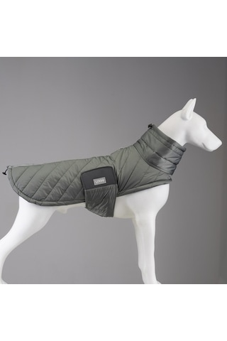 Air Puff Special Green Köpek Montu