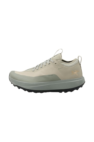Arc'teryx Sylan Gtx Kadın Dağ Koşu Ayakkabısı, Su Geçirmez, Nefes Alabilir, Hafif Ve Tutuşlu Outdoor Ayakkabı Haki 38