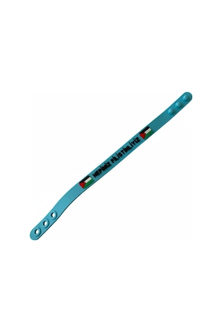 Filistinli "hepimiz Filistinliyiz" Mavi Kokolu Lastik Ayarlanılabilir El Bileklik A300074 Mavi