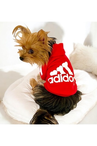 Kemique Red Adidog Kapşonlu Sweatshirt Köpek Kazağı