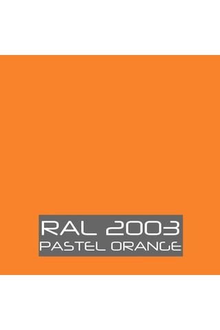 Pamukkale 4200 Epoksi Boya 18 Kg Ral 2003 Pastel Turuncu Diğer
