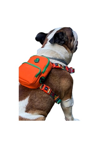 Pawlook Design, Gimme Five, Turuncu Çantalı Göğüs Tasması,köpek Sırt Çantası Göğüs Tasması İşlevli,