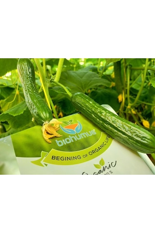 Bostan İçin, Biohumus Organik Gübre, Organik Sertifikalı, Kök Geliştirici, Toprak Düzenleyici, Bitki Besleyici, 25 Kg 1 Diğer